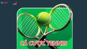 Cá cược tennis: Hướng dẫn chi tiết và kèo cược phổ biến