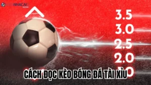 Cách đọc kèo bóng đá tài xỉu: Hướng dẫn từ A đến Z