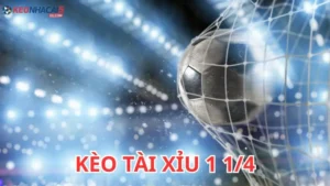 Kèo tài xỉu 1 1/4: Hướng dẫn chi tiết cho người mới